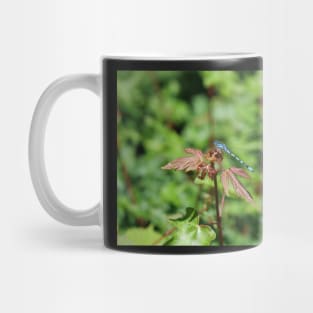 Common Blue Damselfly Mug